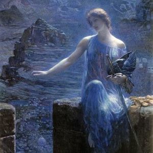 Meet your Posher, Diana